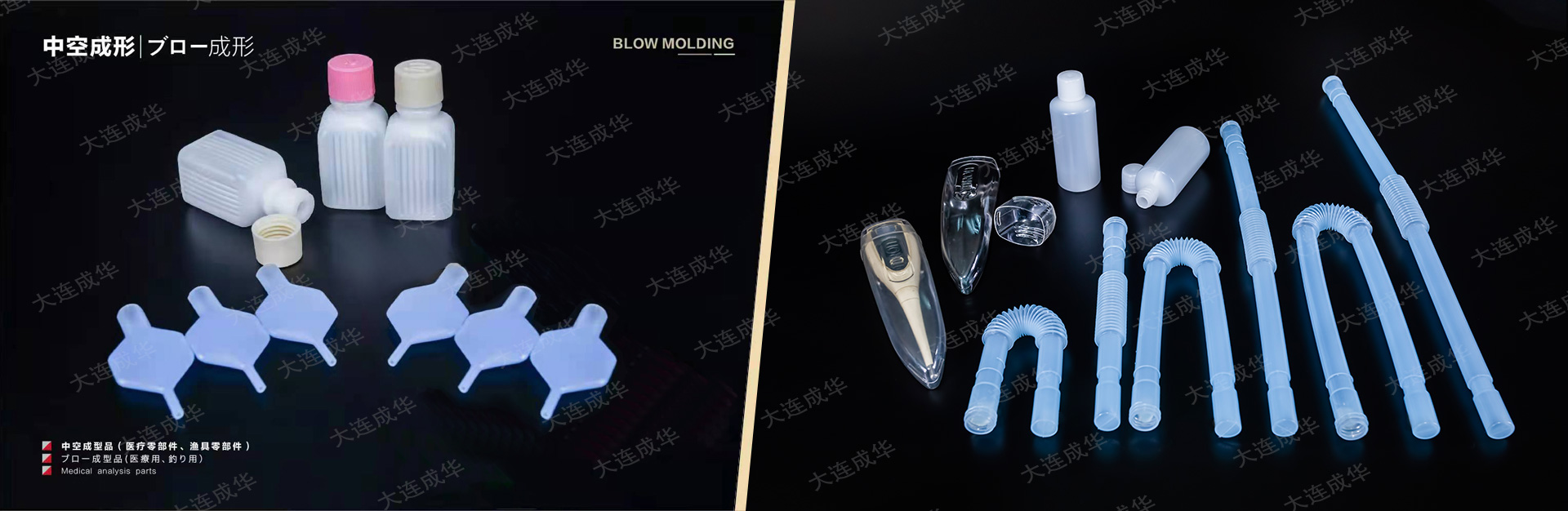 大連伟德bet是什么